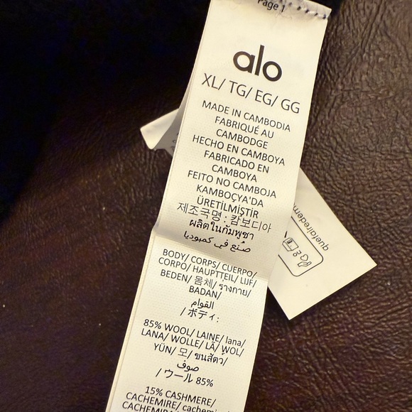 ALO Yoga New Class Cashmere Hoodie Women’s XL Oversized NWT - Picture 4 of 4